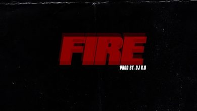 Fire by Guru feat. Criss Waddle