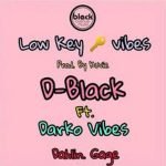 Low Key Vibes by D-Black feat. Darkovibes & Dahlin Gage