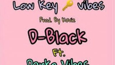 Low Key Vibes by D-Black feat. Darkovibes & Dahlin Gage
