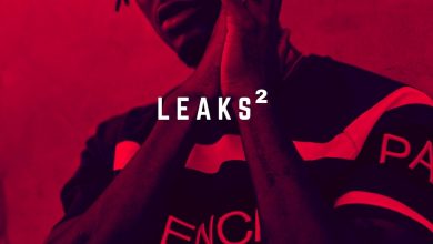 Leaks 2 by E.L
