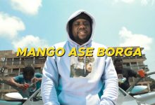 Mango Ase Borga by Sam Dzima