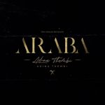 Araba by Adina Thembi