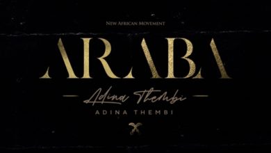 Araba by Adina Thembi