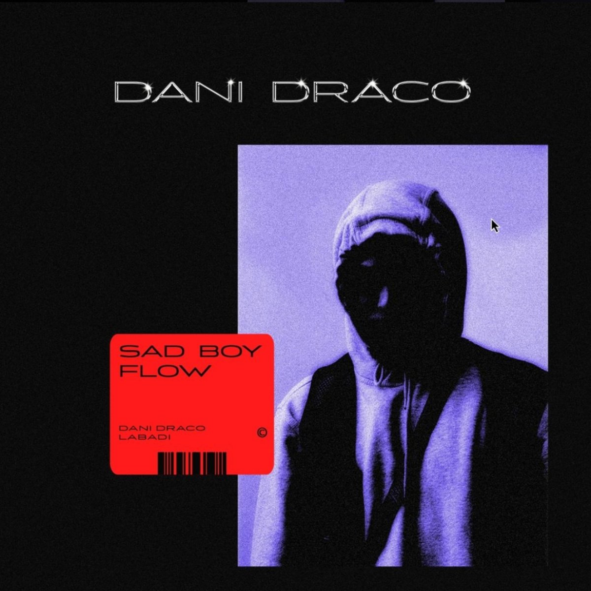 Dani Draco