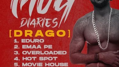 Thug Diaries (Drago) by Yaa Pono