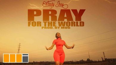 Pray For The World by Wendy Shay
