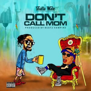 Don't Call Mom by Shatta Wale