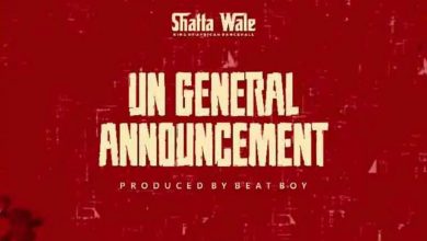 UN General Announcement by Shatta Wale