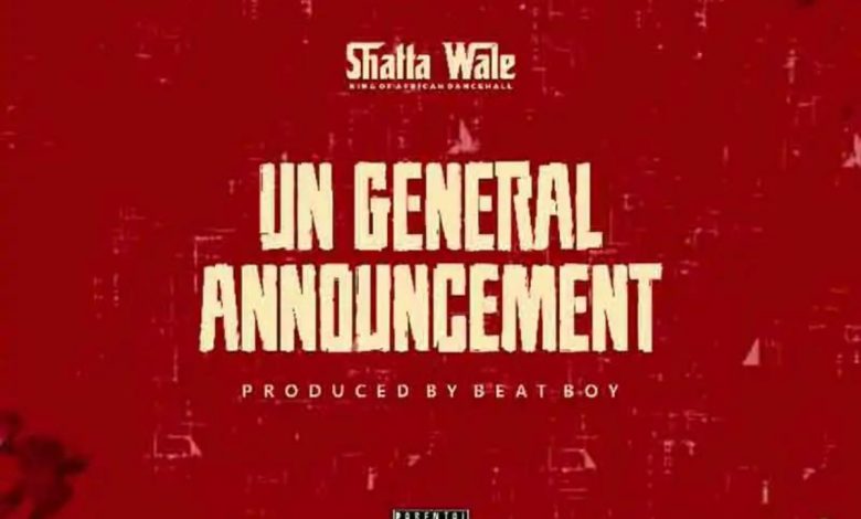 UN General Announcement by Shatta Wale