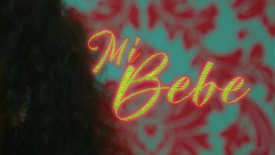 Mi Bebe by Rebo Tribe feat. Babel & Endiz