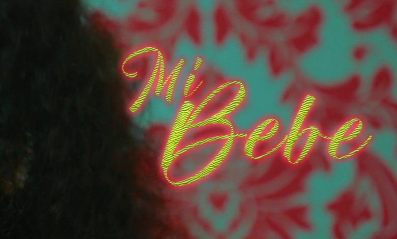 Mi Bebe by Rebo Tribe feat. Babel & Endiz