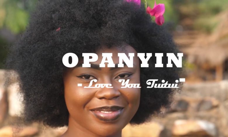 I Love You Tui Tui by Opanyin