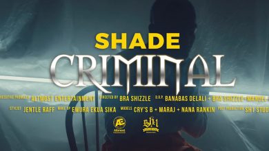 Criminal by Shade