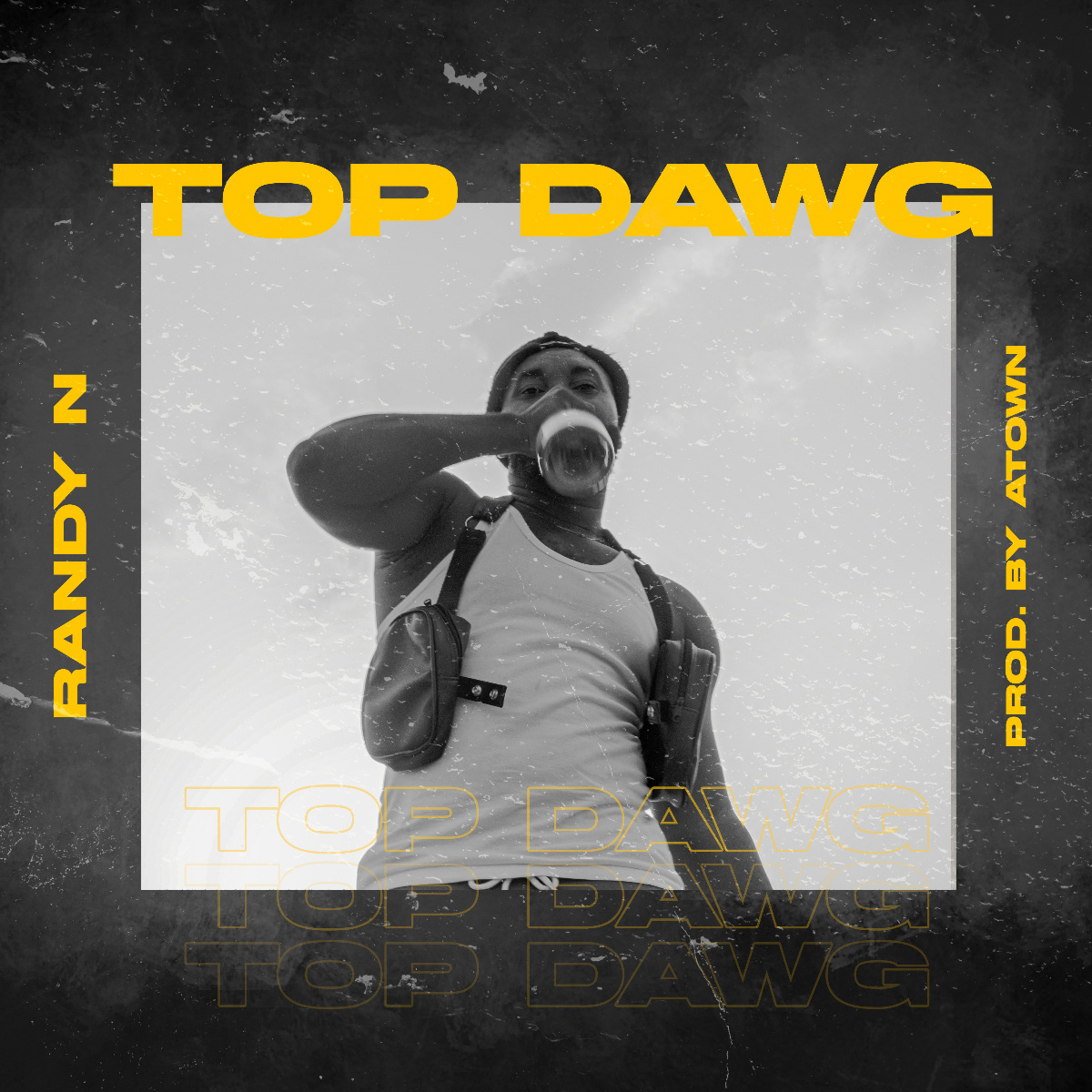 Top Dawg by Randy N