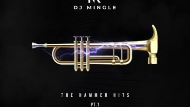 The Hammer Hits (Pt. 1) by DJ Mingle