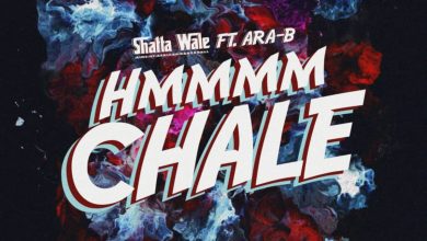 Hmmm Chale by Shatta Wale feat. Ara-B