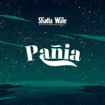 Panai by Shatta Wale feat. Red Panther Music