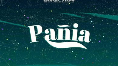 Panai by Shatta Wale feat. Red Panther Music