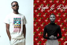 EP Review: Apple and Rose EP by Jessy Gh