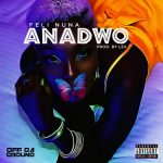 Anadwo by Feli Nuna