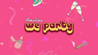 We Party by Amalina