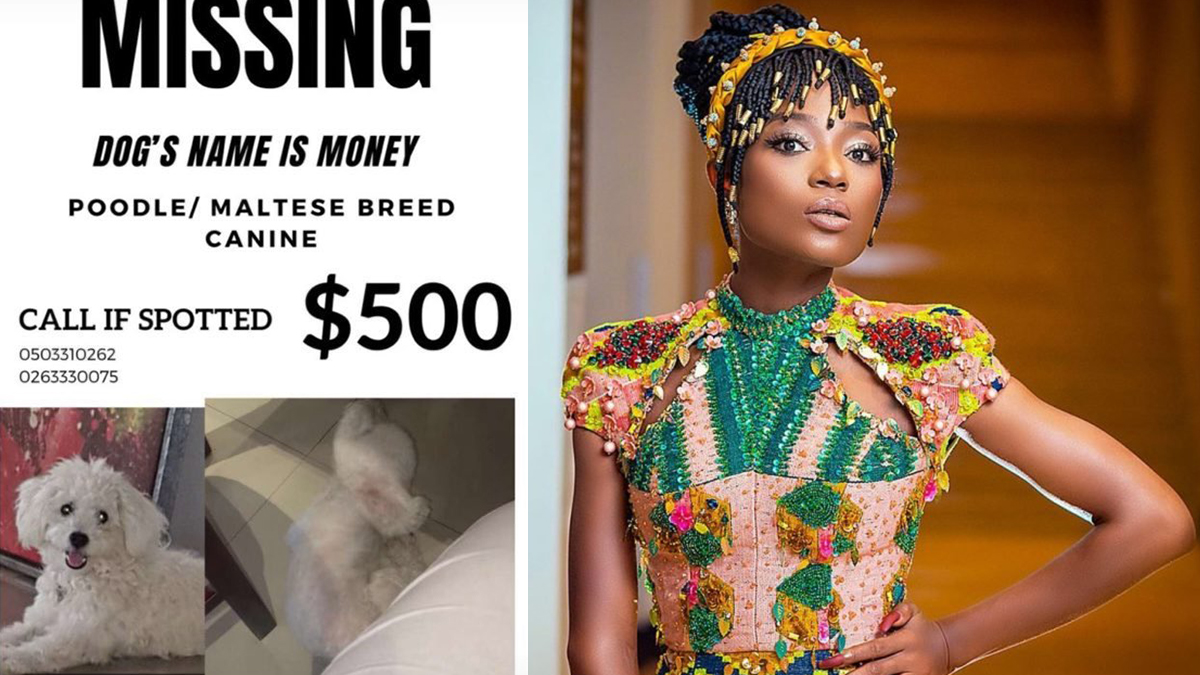 Efya stops artistes from dropping over 3yr old unreleased joints; finds her missing dog who had a GHS 3,537.50 ransom