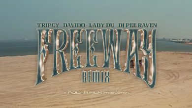 Video: Freeway (Remix) by Tripcy, Davido & Lady Du feat. DJ Pee Raven