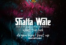 What The F*ck Do You Know Bout Me by Shatta Wale