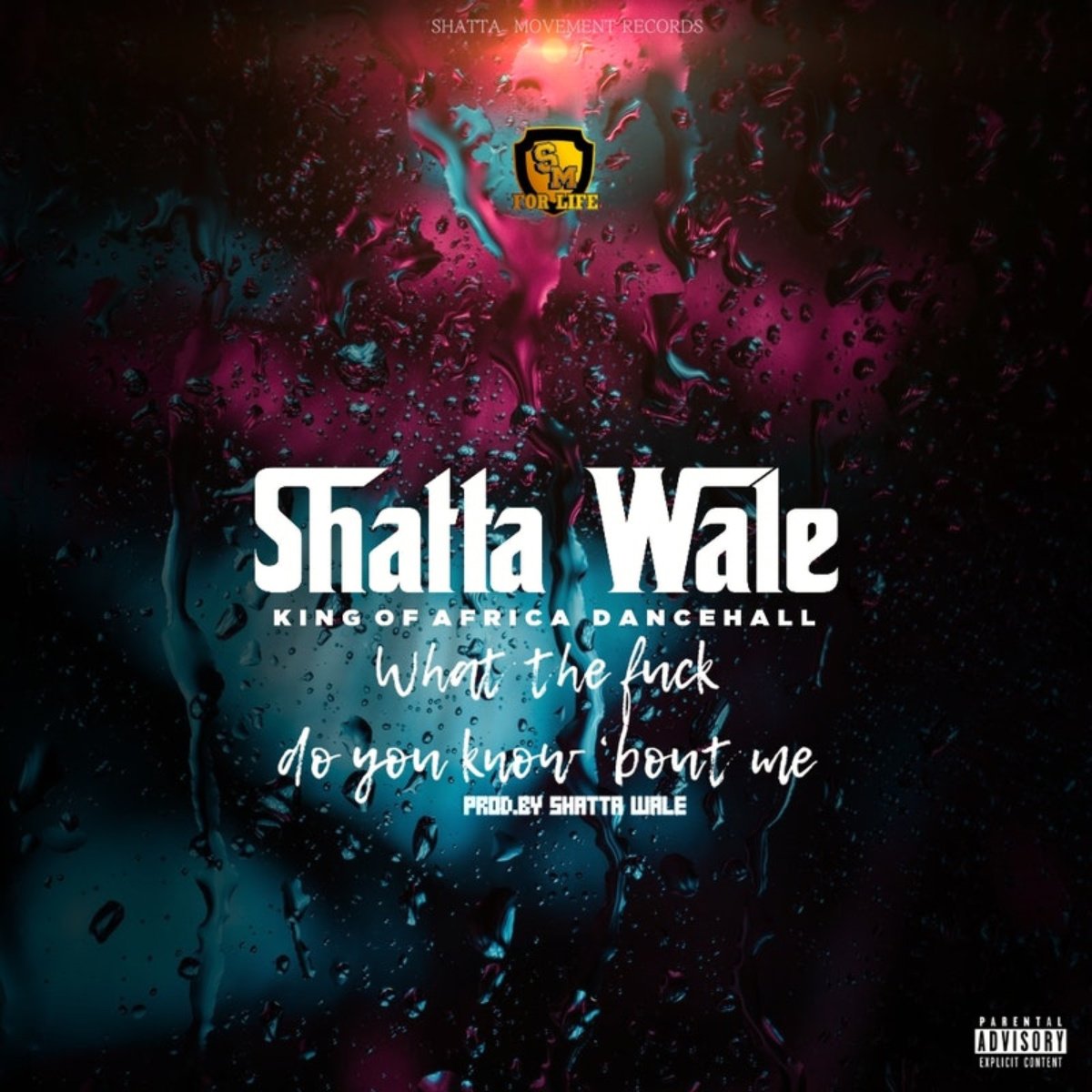 What The F*ck Do You Know Bout Me by Shatta Wale