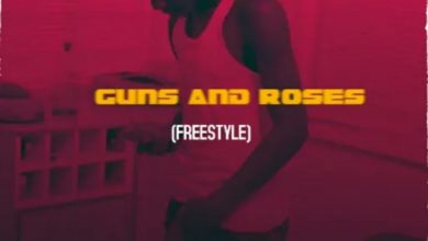 Guns And Roses (Freestyle) by Jerry Jay