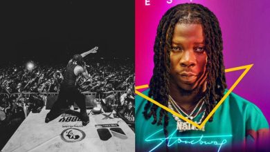 They are snakes under grass but we turn a blind eye - Stonebwoy proves 'Gidigba' in latest reply to ATTW critics