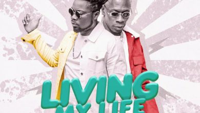 Living My Life by Wutah Kobby feat. Shatta Wale