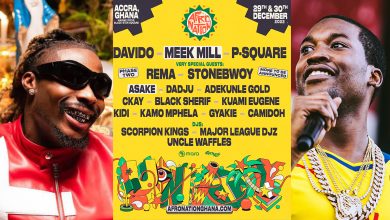 Meek Mill, Asake added up to list of performers at 2022 Afro Nation Ghana