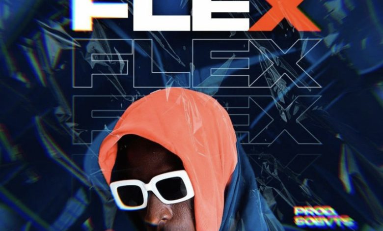 Flex by Slim Drumz