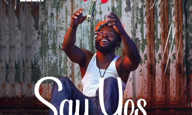 Say Yes by Kojo Luda