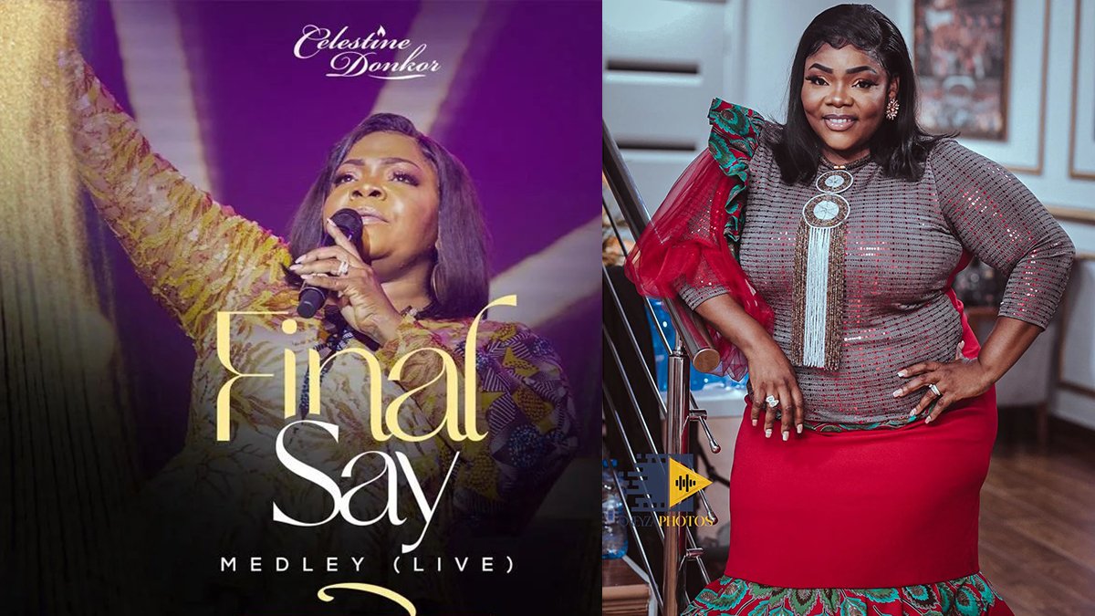 Tongues get bitten as Diana Hamilton, Broda Sammy, Kofi Sarpong, others attempt Celestine Donkor's viral 'Final Say' Challenge