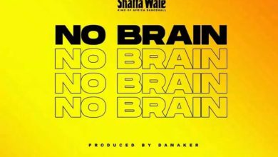 No Brain by Shatta Wale