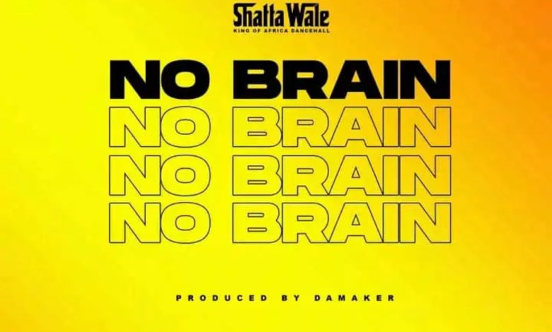 No Brain by Shatta Wale