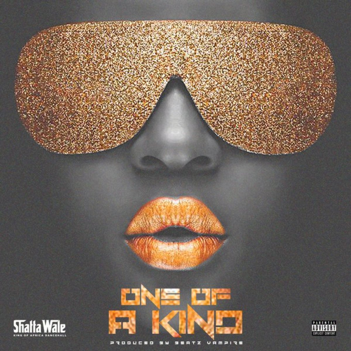 One Of A Kind by Shatta Wale