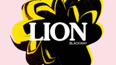 Lion by Blackway