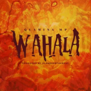 Wahala by Quamina MP
