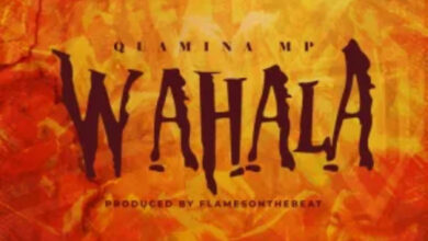 Wahala by Quamina MP
