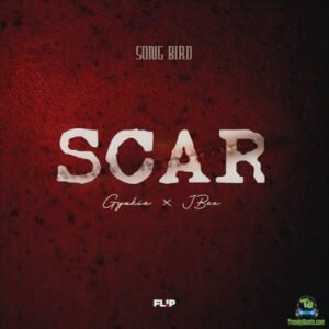 Scar by Gyakie