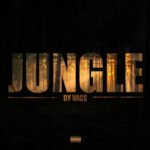 Jungle by Vacs
