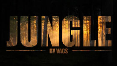 Jungle by Vacs