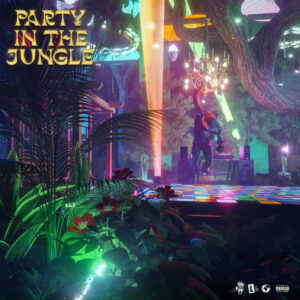 Party In The Jungle by Kwaku DMC