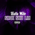 Shoe Shu Lin by Shatta Wale