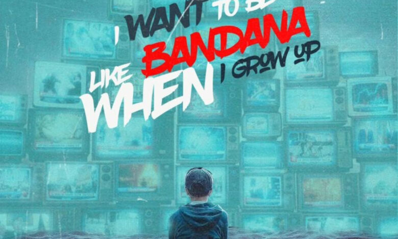 I Want To Be Like Bandana by Shatta Wale