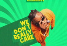 We Don't Really Care by Edem
