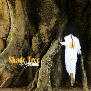 Shade Tree by Rocky Dawuni